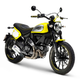 Illustration for article titled The Ducati Scrambler Flat Track Pro Is Here, Because Turning Things Into Trackers Is Hard